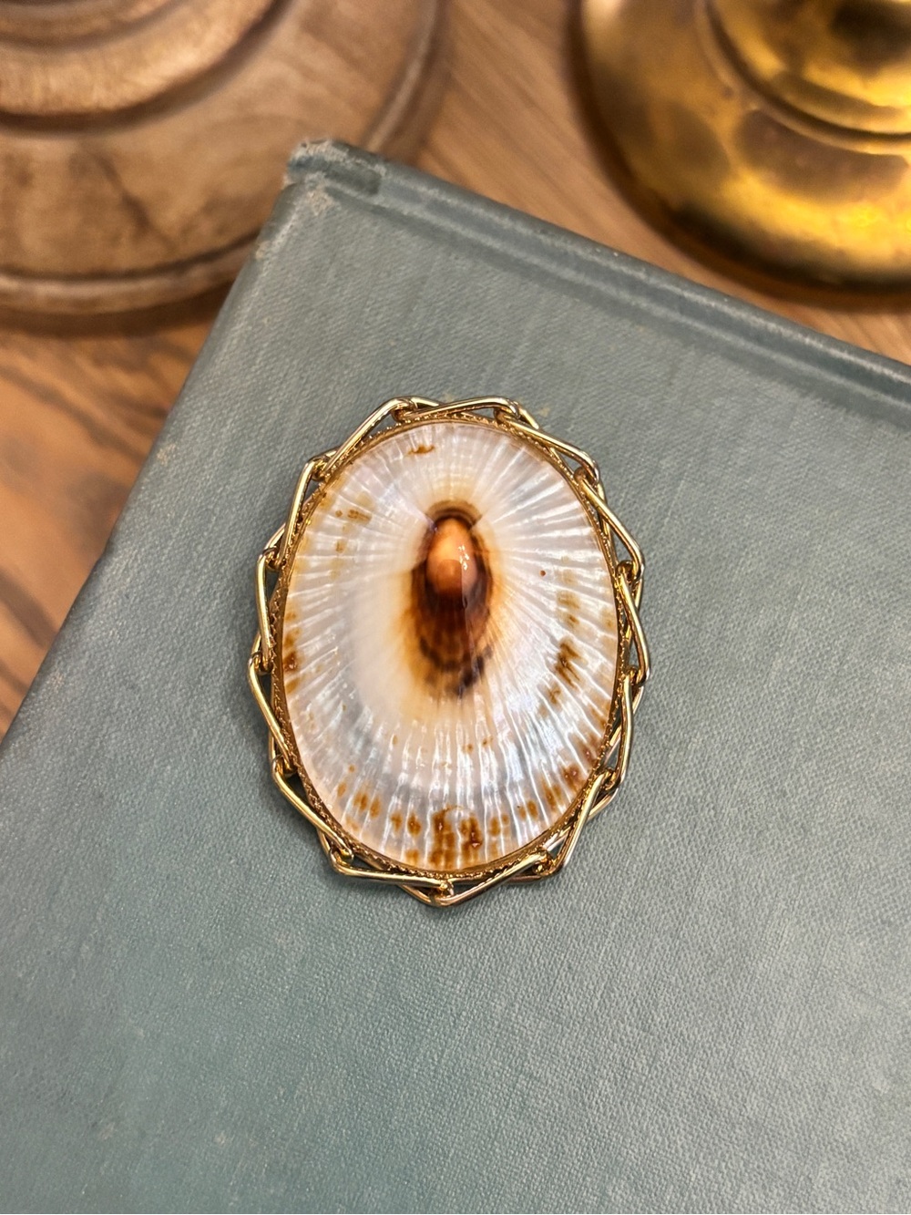 Vintage Seashell Brooch - convertible to pendent